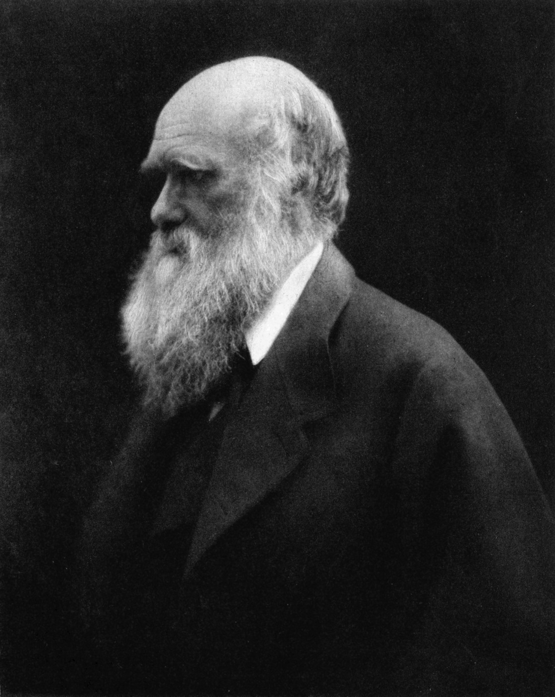 Historical depiction of Charles Darwin